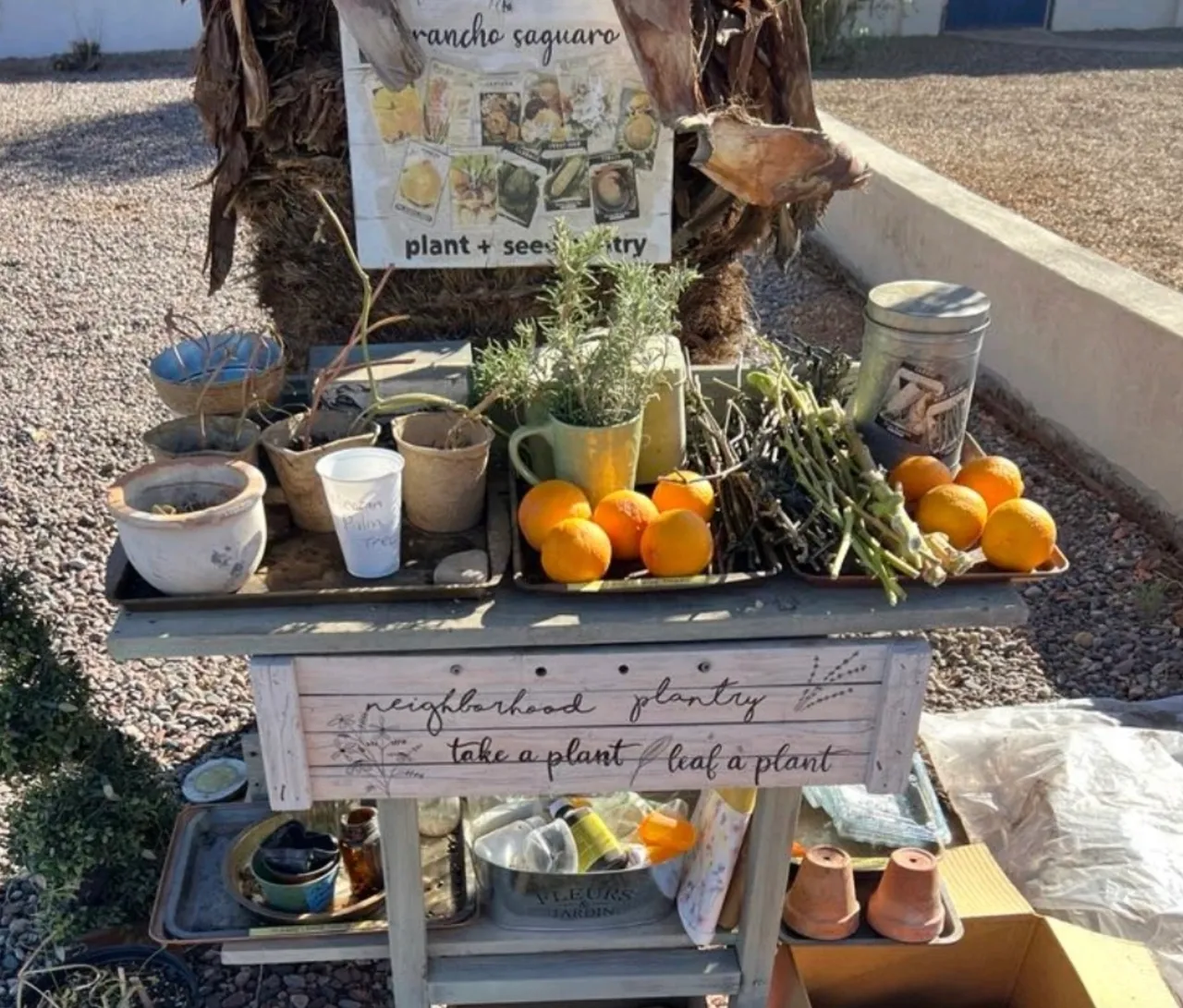 Etiquette at Seed Libraries and Garden Exchange Stands
